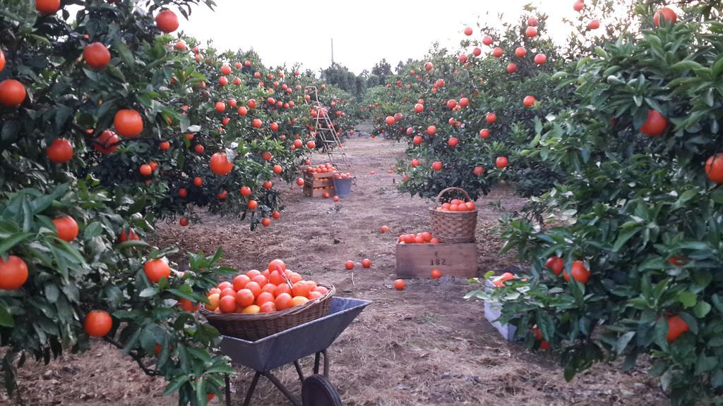 Banhakeura Pension Czedżu Zewnętrze zdjęcie